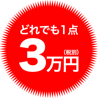 どれでも1点 3万円(税別)