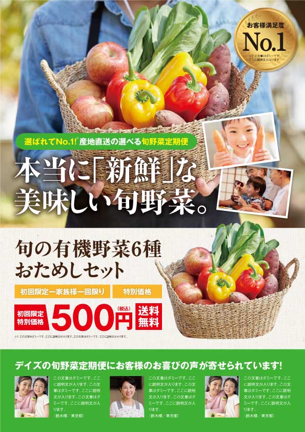 【チラシ】野菜定期便A4フライヤー