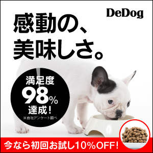 【バナー】ドックフード_バナー